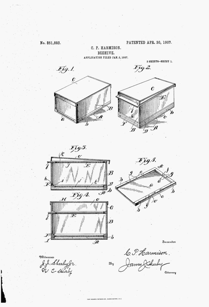 Beehive Patent